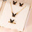🦋 Butterfly Jewelry Set ✨ – Pack of 4 (Necklace, Earrings, Ring & Pendant) 💖